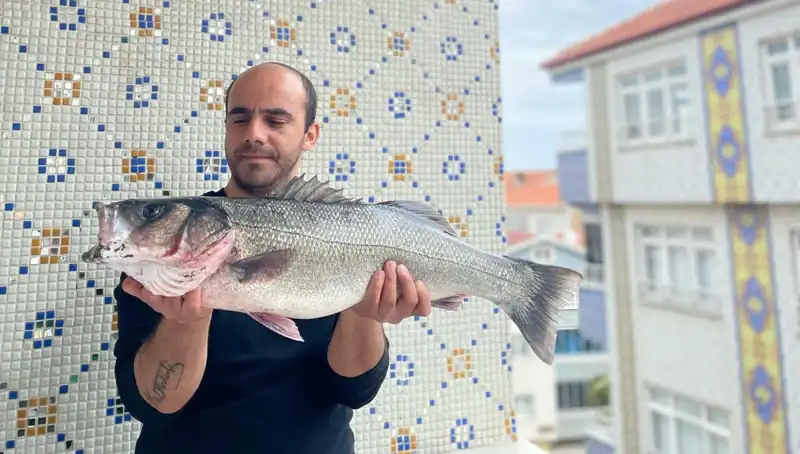 7,5 Kilogramlık Dev Levrek Avı: Balıkçıların Yeni Rekoru!