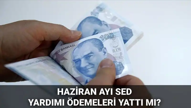 2025 Haziran Ayı SED Ödemeleri: Sorgulama Nasıl Yapılır?