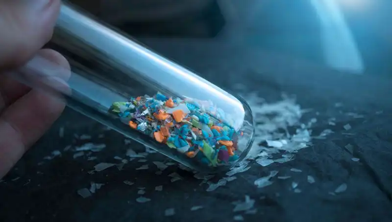Mikroplastikler Beynimizde: Sağlığımızı Tehdit Eden Gizli Düşman