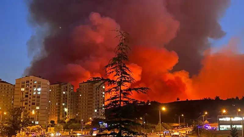 Bursa'da Yangınlar Kenti Sarsıyor: Acil Durum İlan Edildi!
