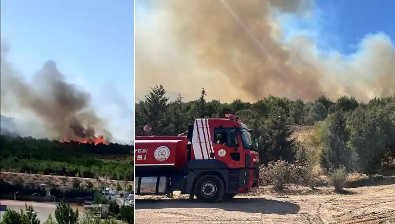 Gebze'de Korkutan Orman Yangını: Alevler 100 Hektarlık Alanı Sardı