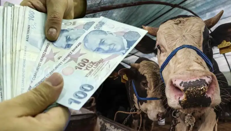 Maaşlar Kurban Bayramı Öncesi Yatacak mı? Emeklilere Müjde Geldi!