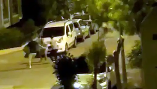 Avcılar’da 3 Kişinin Saldırısına Uğrayan Vatandaş Kurtarıldı