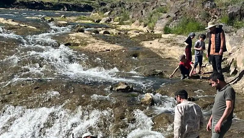 İnci Kefali Göçü: Doğa Mucizesiyle Tanışmaya Hazır Bir Destinasyon