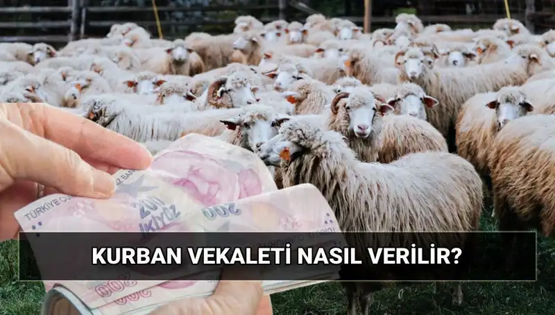 Vekaletle Kurban Kesilir Mi? Diyanet’in 2025 Ücretleri Açıklandı