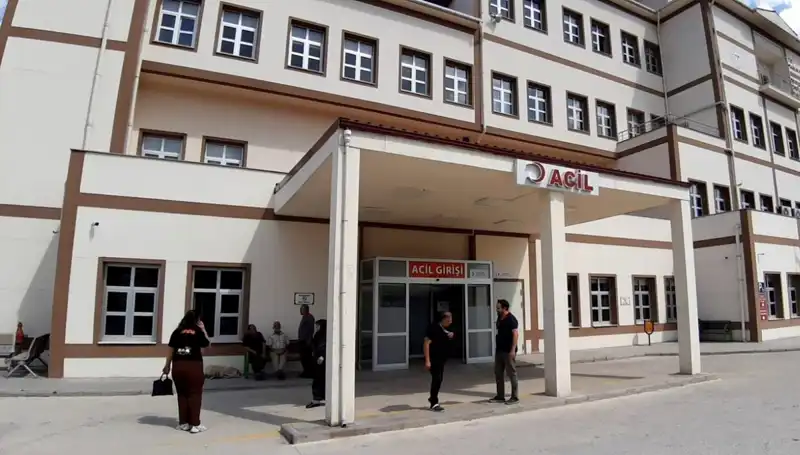 Bolu'da Ayı Avı Tartışmaları: Doğa Koruma mı, Av Sezonu mu?