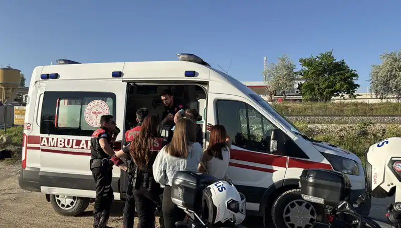 Hayatta Kalma Mücadelesi: Arkadaşının Uzattığı Dalla Yeni Bir Başlangıç