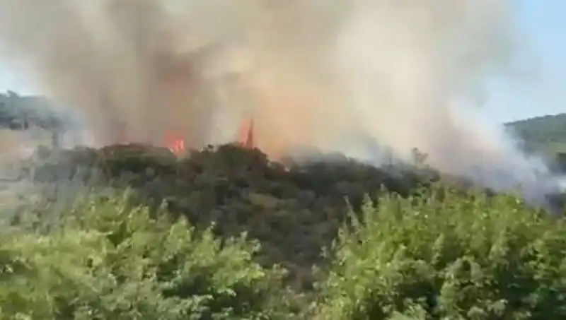 İstanbul'da Yangın Alarmı: Vatandaşlar Acil Olarak Tahliye Edildi