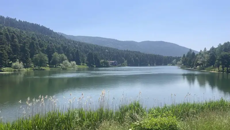 Bolu'nun Milli Parkları: Doğa Severlerin Yeni Gözdesi Oldu!