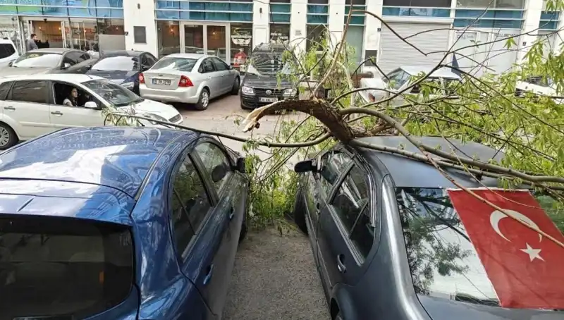 Kayseri'de Şiddetli Fırtına, Dallar Yerle Bir Etti!