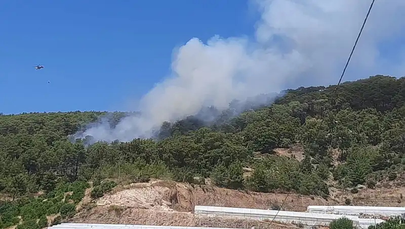 Kumluca'da Son Dakika! Orman Yangını Kontrol Altına Alındı