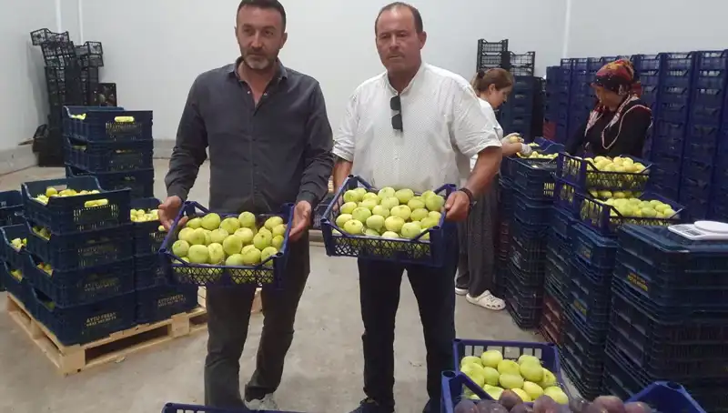 Mersinli Çiftçilerin Yüzü Gülüyor: İhraç Fırsatları Artıyor
