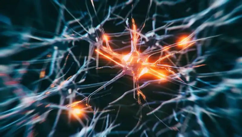 Alzheimer Vakalarındaki Artışın Sebepleri ve Çözüm Yolları