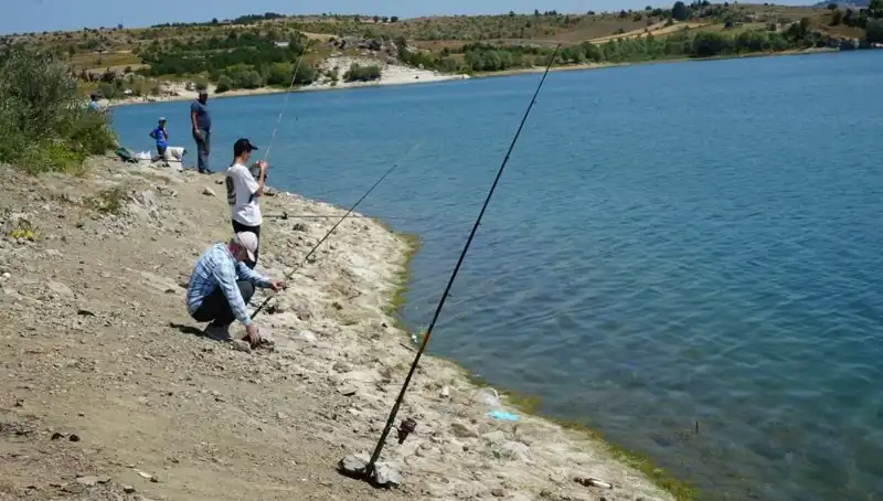 Kafesler Patladı: Baraj Kenarındaki Şok Edici Olayda Kalabalık Toplandı