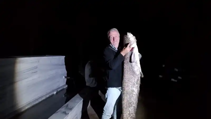 Barajda Oltasına Takılan 40 Kilo Ağırlığında Dev Balık Görücüye Çıktı!