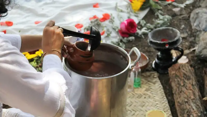 Ayahuasca: Gizemli Uyuşturucu İlaç Mı, Şamanistik Bir Gelenek Mi?