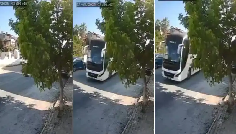 Yolda Yatan Köpeği Ezip Giden Sürücü İçin Gözaltına Alındı!