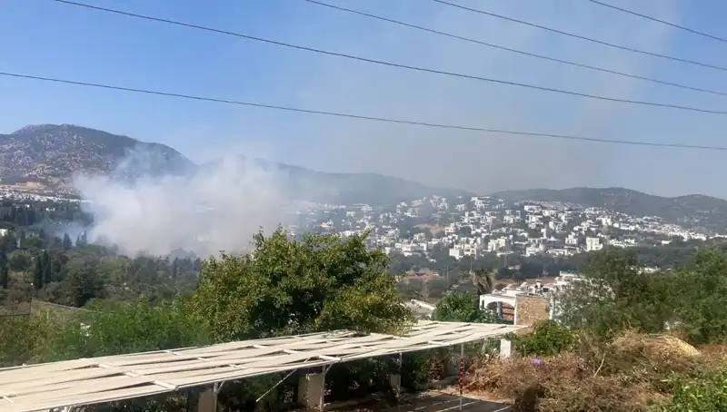 Muğla Orman Yangınları Kontrol Altına Alındı: Son Gelişmeler ve Gelecek Aksiyonlar