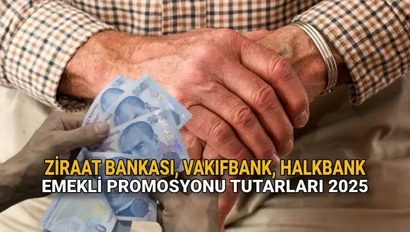 2025 Emekli Promosyonları: Kamu Bankaları Hangi Fırsatları Sunuyor?