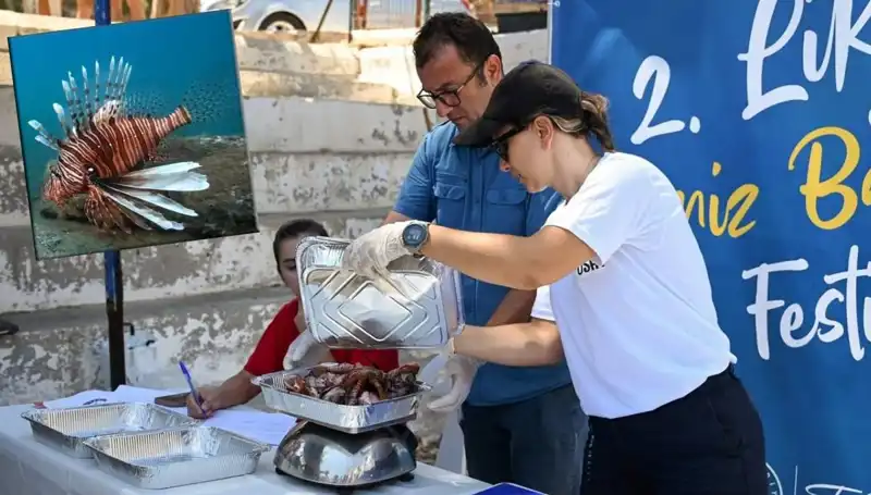 Antalya’da Heyecan Verici İstilacı Aslan Balığı Avlama Yarışması Düzenleniyor!