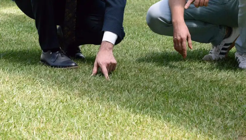 Stadyum Zeminindeki Son Durum: Çalışmalar Hızla İlerliyor ve Tarife Uygun Tamamlanacak!