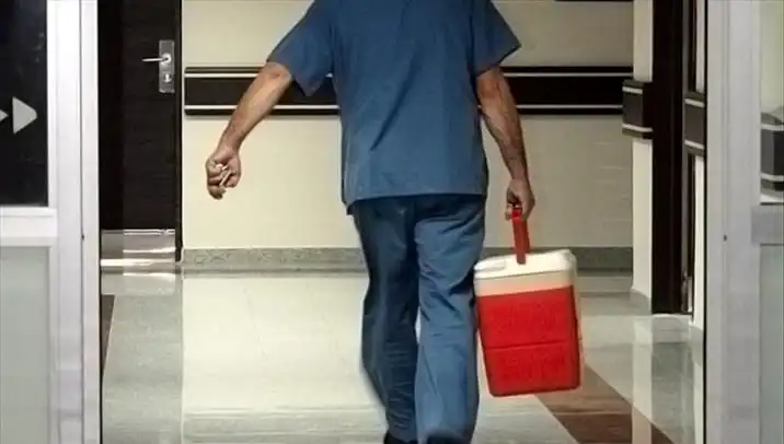 Organ Bağışında Devrim: e-Devlet ve e-Nabız ile Yeni Dönem