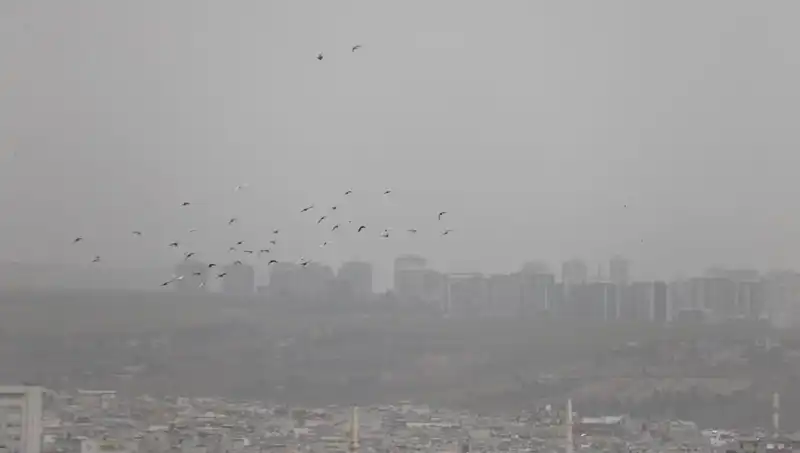 Şanlıurfa'da Görülen Toz Bulutları: Şehir Hayatını Etkiledi