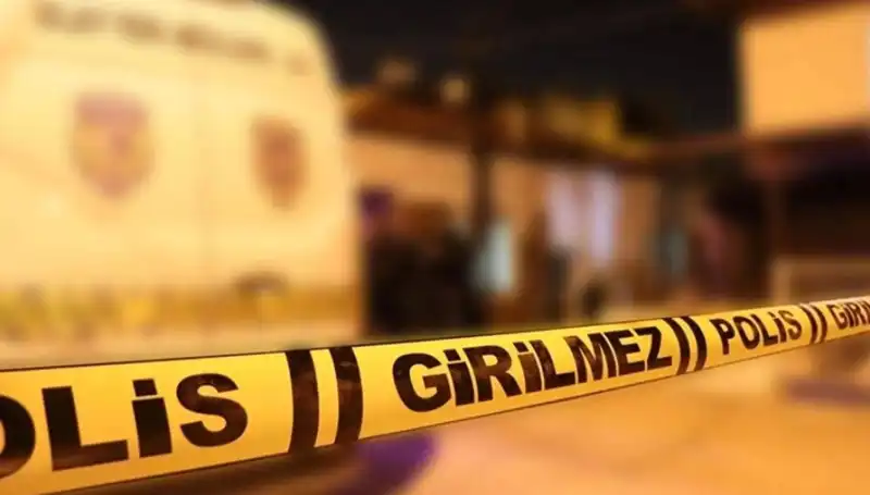 Diyarbakır'da Kayınpeder Dehşeti: Aile İçinde Yaşanan Şiddet Olayı