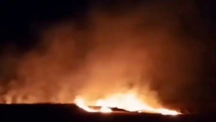 Tekirdağ'da Tarım Felaketi: 20 Dekar Buğday Alanı Alevlere Teslim Oldu