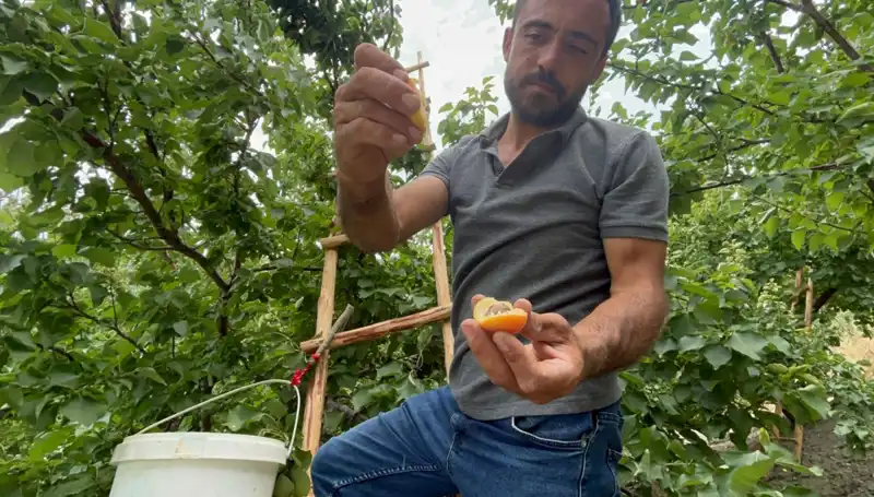 İnanalmaz Lezzet! Bu Ürün 50 TL ile 70 TL Arasında Aşık Ediyor