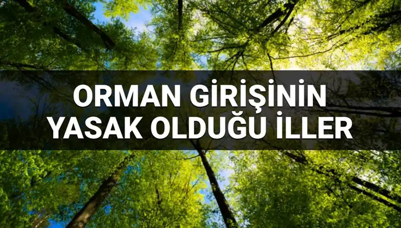 2025'te Ormana Girmesi Yasak Olan İllerin Şaşırtıcı Listesi