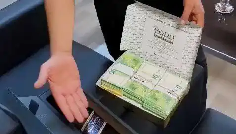 Manavgat Belediyesi'ne Şok Operasyon: Baklava Kutusundan Çıkan Avrolar Olay Yarattı