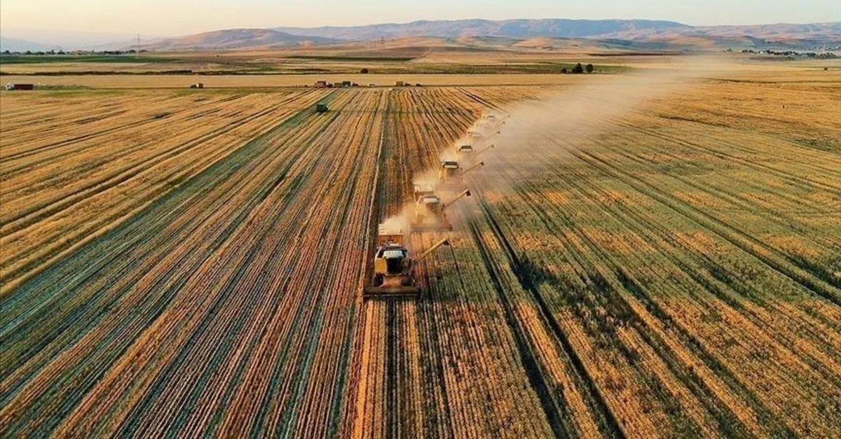 TARSİM, 2024'te Çiftçilere 22,5 Milyar Lira Prim Desteği ve Hasar Tazminatı Ödedi