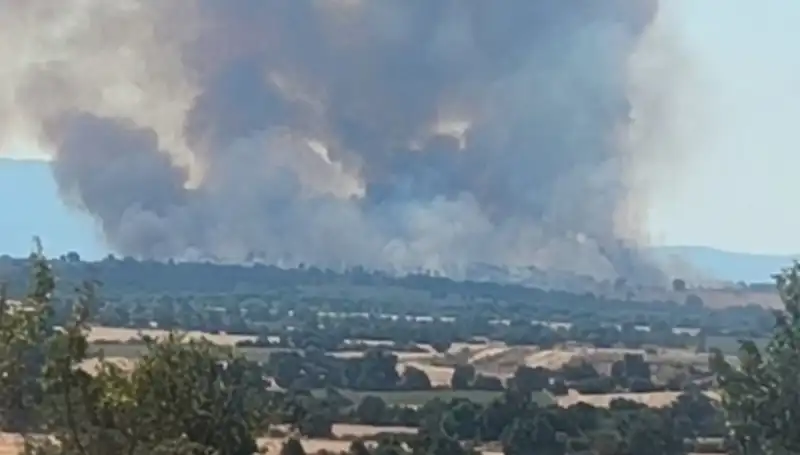 Komşudaki Orman Yangını Edirne'yi Karanlığa Sürükledi, Dumanlar Yükseliyor!