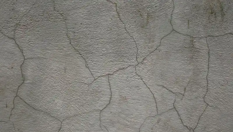 Yeni İnovasyon: Canlı Beton Çatlakları Kendi Kendine Onarıyor