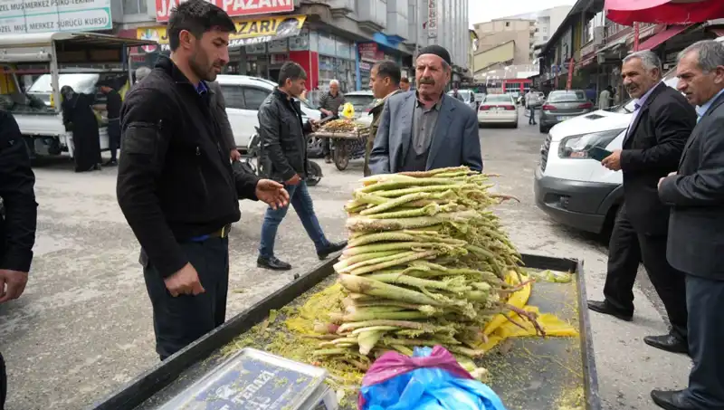 Dağlık Alanlardan Gelen Şekerin Gizemli Faydaları: Kanser ve Mide Hastalıkları Üzerindeki Etkisi